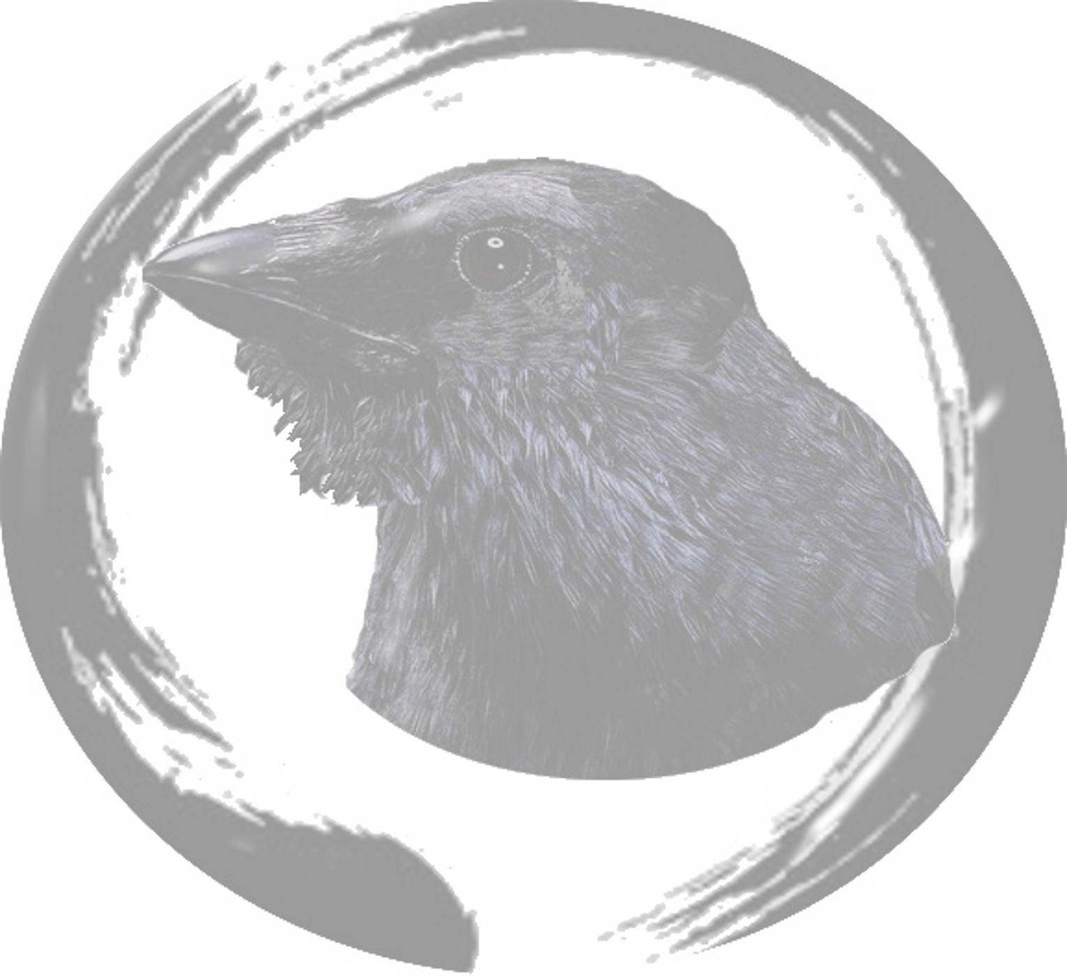 Bearded Crow pale logo